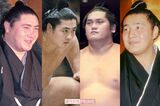 6年ぶりの天覧相撲で愛子さまも観戦《大相撲》歴代イケメン、絶対に外せない11人…