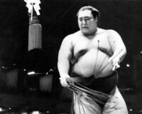 評論家「北の湖関は記録にあらわれない強さがあった」