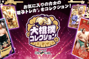 日本相撲協会が行う電子トレカをコレクションできるサービス(大相撲コレクション公式サイトより)