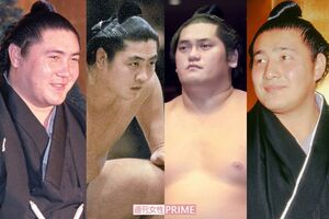 歴代イケメン力士大集合！（左から）大鵬、霧島、旭豊、琴ノ若