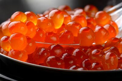 『いくら醤油漬け（鮭卵）450g（225g×2）』（北海道白糠町　寄付金額：1万4500円　還元率：54.5％）