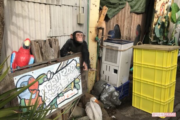 堀井動物園の外観。敷地内を伺うことはできなかったが時々鳥類と思われる動物の鳴き声が聞こえていた