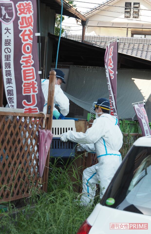 小型犬、大型犬、猫など大きさに応じたケージに入れ、施設を数回往復していた（23日）