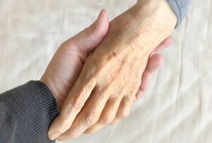 ※写真はイメージです