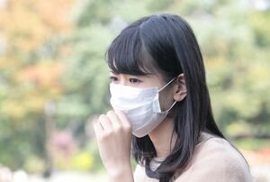 ※写真はイメージです