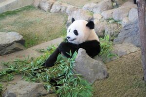 ※画像はイメージです