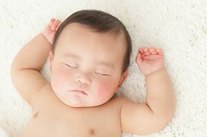 写真はイメージです