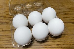 体内でつくることができない必須アミノ酸が豊富に含まれている卵。若々しい肌と、健康な身体でいるためにこの必須アミノ酸が欠かせない※写真はイメージです