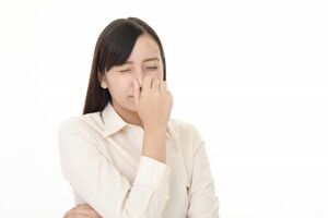 ※画像はイメージです