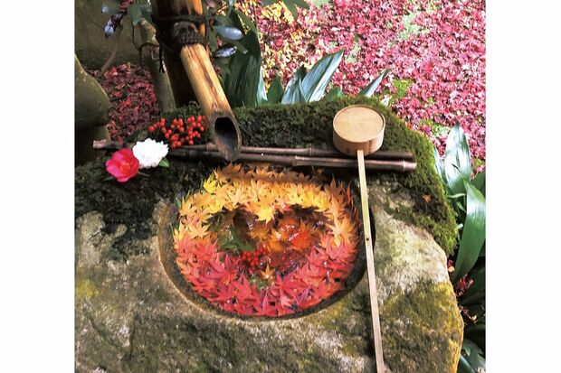 昨年11月。「これがハートの花手水の元祖。みなさん、すごく喜んでくださって。以後、ハートを作らないといけない雰囲気に（笑）」