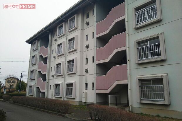橋本志穂容疑者と母親が住んでいた県営住宅