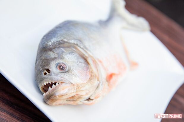 見た目に似合わず鯛に近い上品な味わいのピラニア