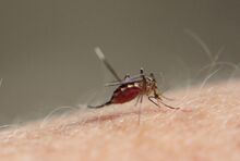 ※写真はイメージです