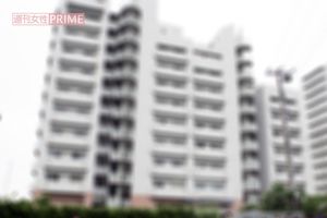 木村拓哉や三浦知良 窪塚洋介らの 二世 称賛ニュース が繰り返される思惑 ニュース概要 週刊女性prime