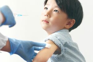 ※写真はイメージです