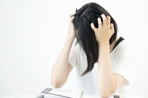 写真はイメージです