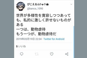 動物愛護派を装うアカウント（読者提供）