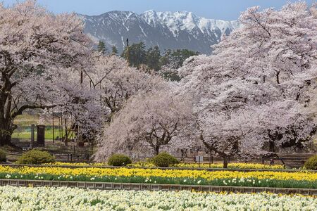 實相寺（じっそうじ）［山梨県］