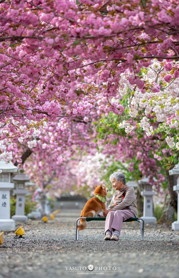 「また来年もここに」そんな強い思いを込めて　提供：YASUTO