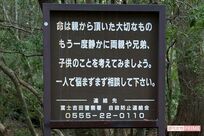 「死体を育てていますよ」首吊り遺体が骨になるまで観察し続ける“樹海マニア”の狂気