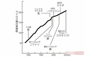 出展:World Wide Fund for Nature“COVID19:Urgent Call to Protect People and Nature”(June 17,2020)より改変