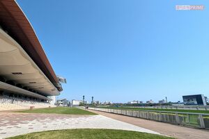 函館競馬 撮影/編集部