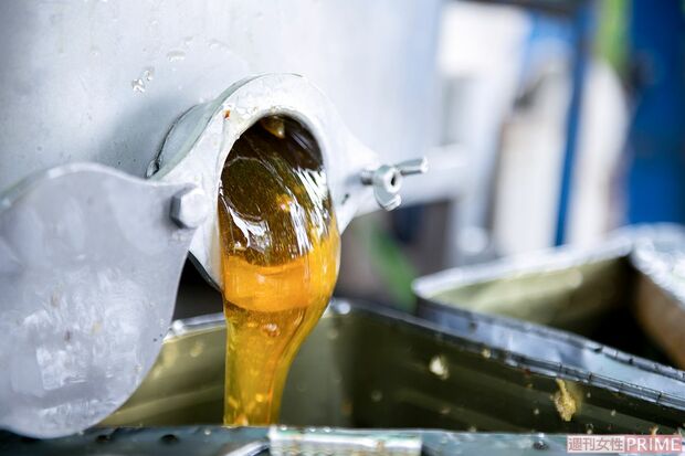 糖度が高いのが特徴でドロリと重いハチミツに　撮影／伊藤和幸