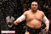 日馬富士を愛した女性が成し遂げた偉業「僕の相撲人生のすべて」と言われるまで