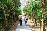 【心理診断】追いかける“虫”で判明！ あなたの「怖がり」チェック　