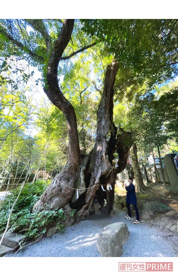來宮神社＠静岡県熱海市
（C）YUTA SASAKI