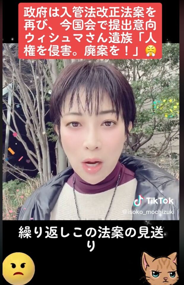 望月衣塑子記者がTikTokに投稿したキラキラ加工された動画