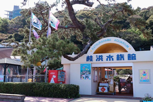 水族館の外観　写真提供／桂浜水族館
