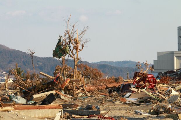 木には布団が引っかかっていて…（陸前高田市、2011年3月29日〜4月1日）