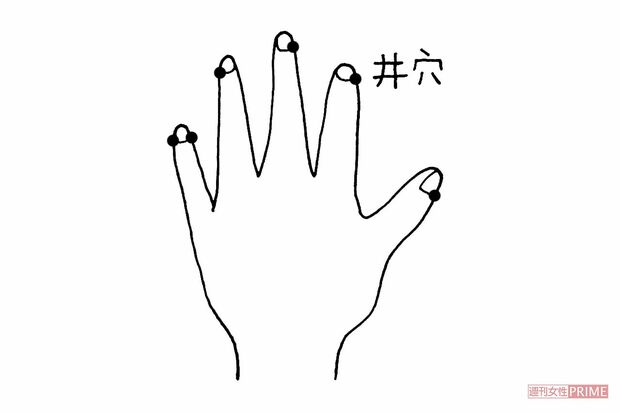 井穴（せいけつ）5本の指の爪の付け根の際にあるツボ。イラスト／水口アツコ