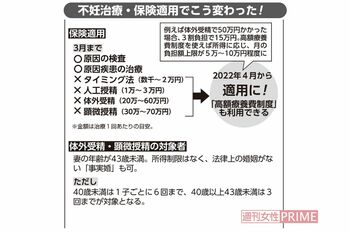 不妊治療・保険適用でこう変わった!