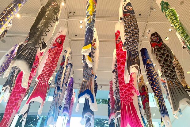 いろとりどりに、優雅に泳ぐこいのぼりも見てきました　撮影／加藤綾菜