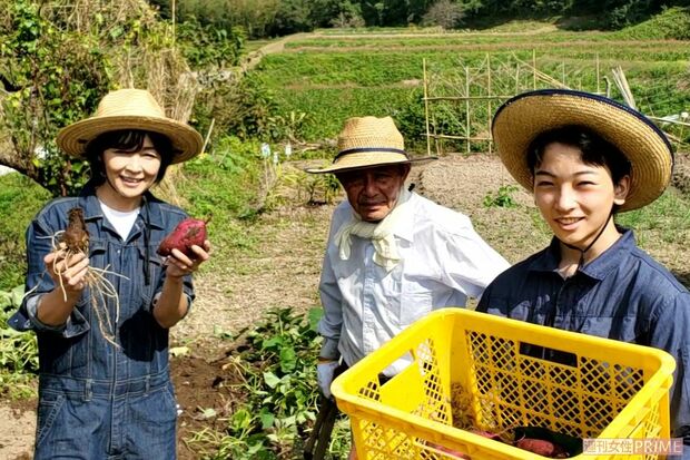 「サツマイモと里芋がたくさん採れました」と、父と息子で畑へ。収穫したお芋でチップスやガレットを作ることも