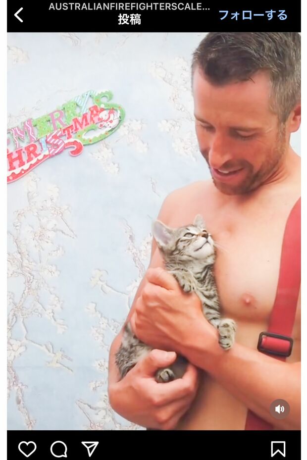 セクシーな雄っぱいの谷間で安らぎの表情を浮かべる子ねこ