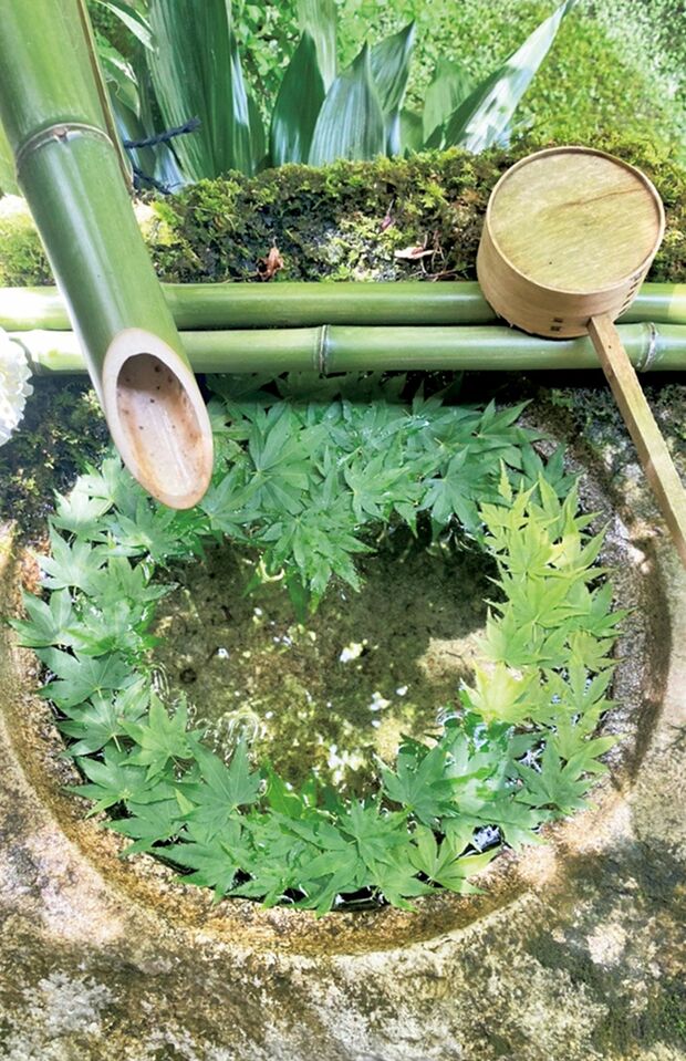 今年5月。青紅葉でハートをさわやかに描いた。「ハートを作るのは住職の担当なんです。雨1粒でハートが崩れるので大変みたいです」