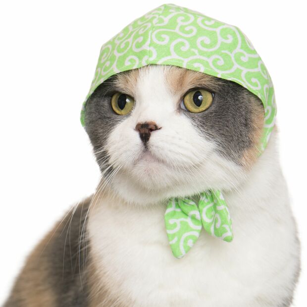 『コップのフチ子』でおなじみのキタンクラブならではの発想力　(c)KITAN CLUB