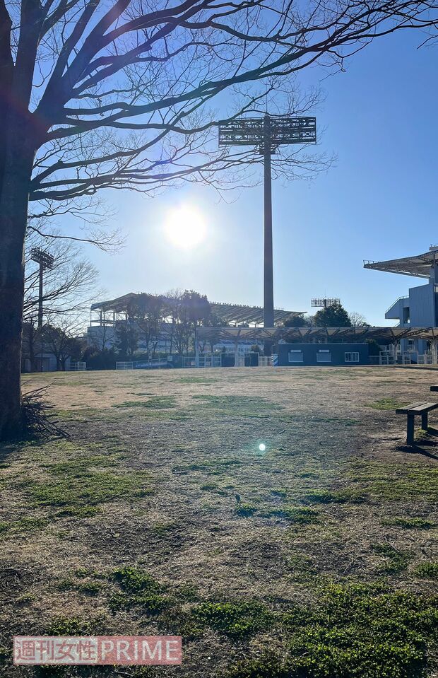 スタジアムの周りにコンビニなどはなく自動販売機が数個