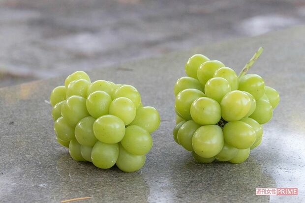 記者にシャインマスカットを差し入れるサービスを