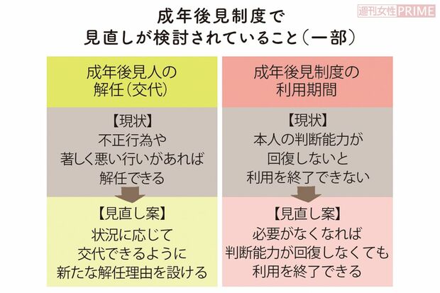 成年後見制度で見直しが検討されていること（一部）