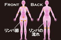 自宅&職場でできるリンパケア 老廃物をリセットして体調不良、たるみ、薄毛も解消