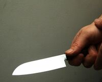 東京府中発、夫婦喧嘩後に息子が父を刺殺。その”理由”とは