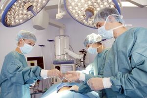 ※画像はイメージです