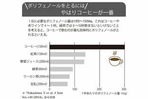 ポリフェノールをとるには、やはりコーヒーが一番