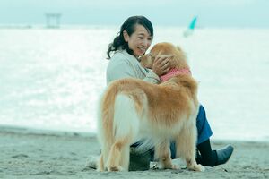 日常を共に過ごしている3代目わんこのハルちゃんと海にお散歩する折原みとさん　撮影／砂原文（写真はすべて『60代バツなしおひとりさま、毎日ごきげん暮らし』から転載）