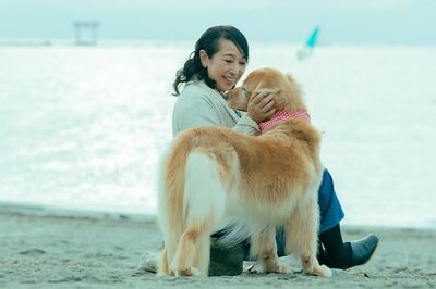 漫画家・折原みとさんの62歳バツなしおひとりさまライフ「独身や年齢に不安を感じている人に伝えたかった」