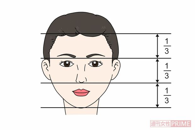 顔面の黄金比